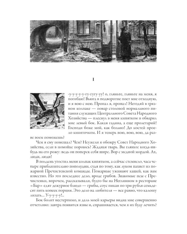 Собачье сердце. Рассказы