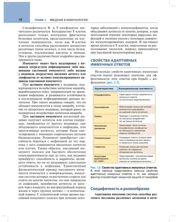 Основы иммунологии. Функции иммунной системы и их нарушения: Учебник