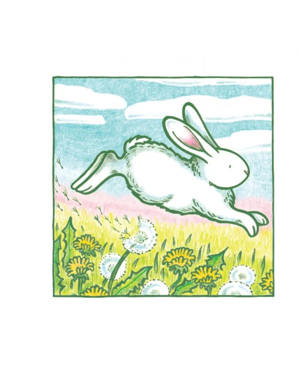 Маленький белый кролик