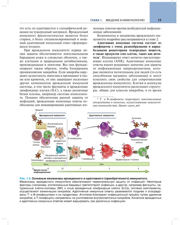 Основы иммунологии. Функции иммунной системы и их нарушения: Учебник