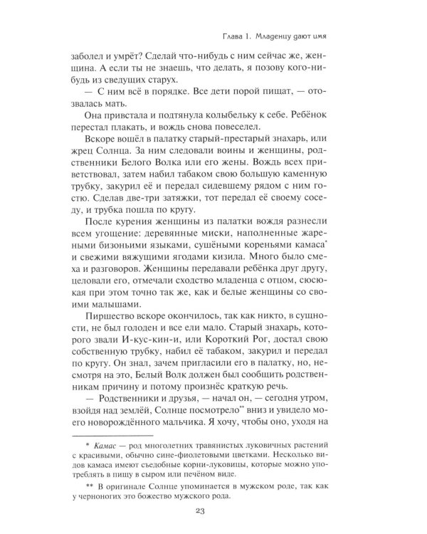 Дополнительное изображение книги «Золотой тайник; Синопа, индейский мальчик; С индейцами в Скалистых горах; Поиск шкуры рыбо-собаки: повести»