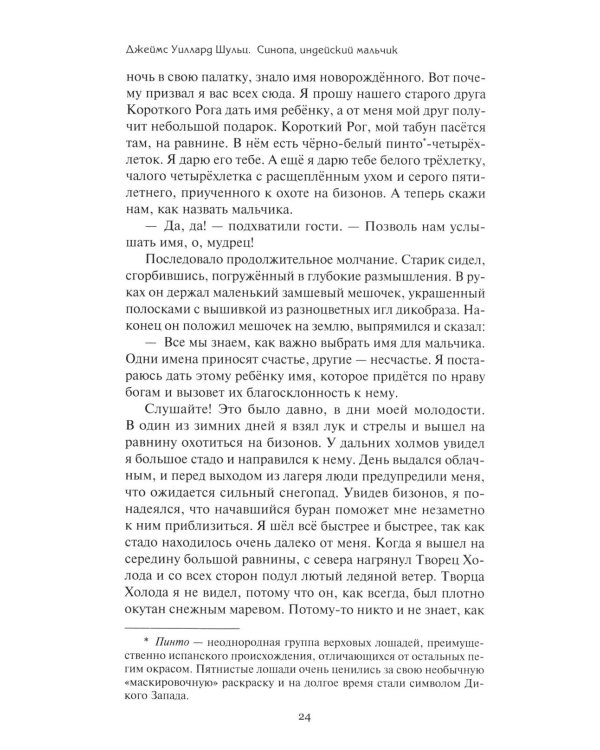 Дополнительное изображение книги «Золотой тайник; Синопа, индейский мальчик; С индейцами в Скалистых горах; Поиск шкуры рыбо-собаки: повести»