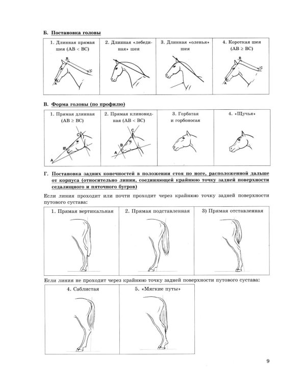 ОГЭ 2026. Биология. 15 вариантов. Типовые варианты экзаменационных заданий