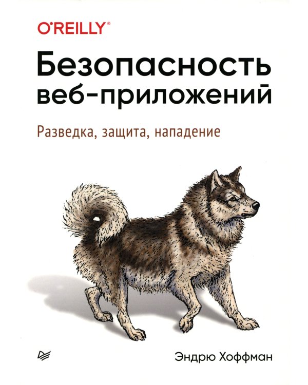 Безопасность веб-приложений. Разведка, защита, нападение