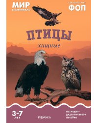Птицы хищные: Наглядно-дидактическое пособие