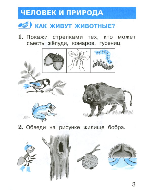 Окружающий мир. 1 кл. В 2 ч. Ч. 2. Тетрадь для тренировки и самопроверки. 9-е изд., перераб. и доп