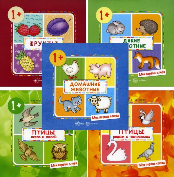 Мои первые слова Мои первые слова (комплект из 5-ти книг)