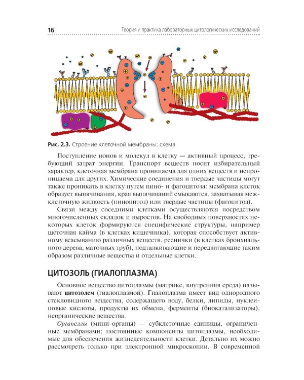 Теория и практика лабораторных цитологических исследований: Учебник