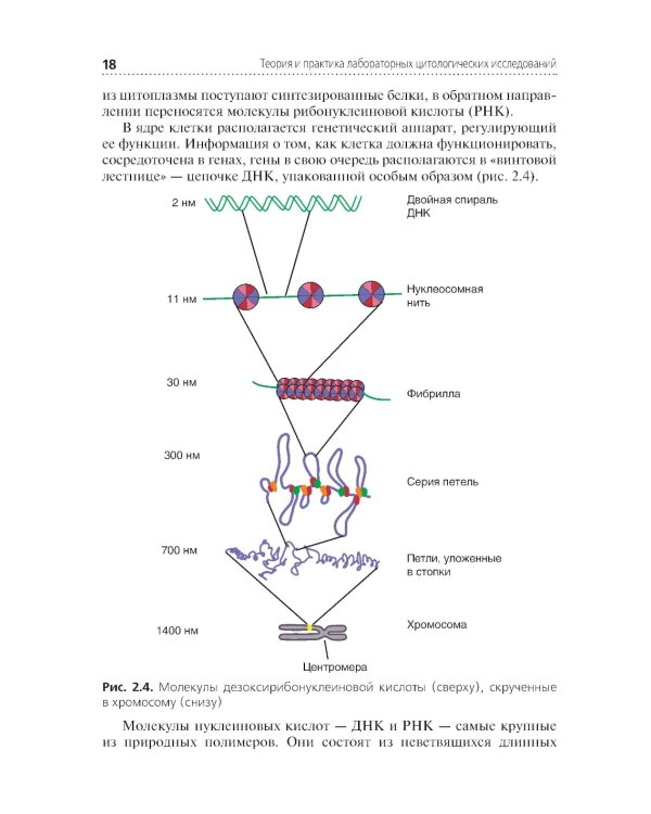 Теория и практика лабораторных цитологических исследований: Учебник