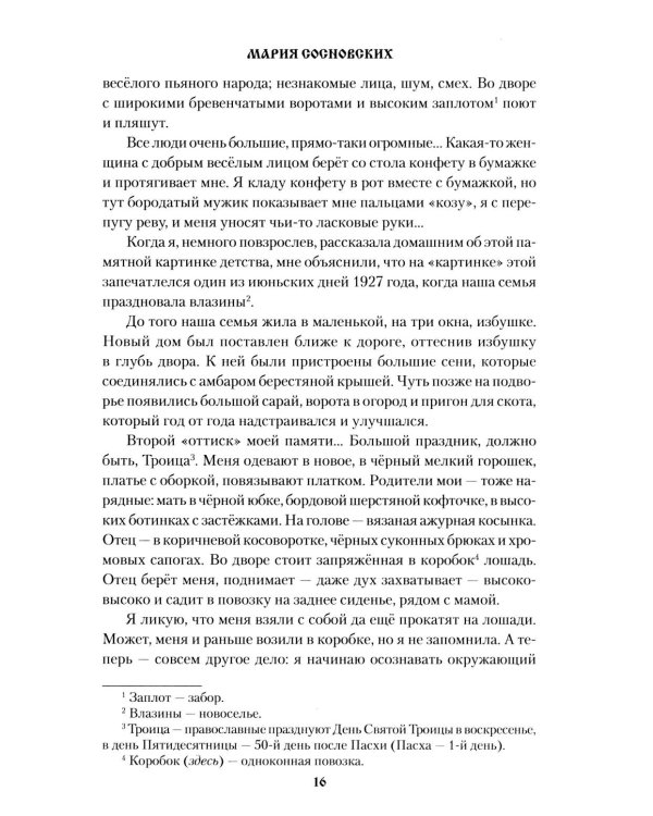 Мария: роман