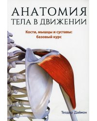 Анатомия тела в движении