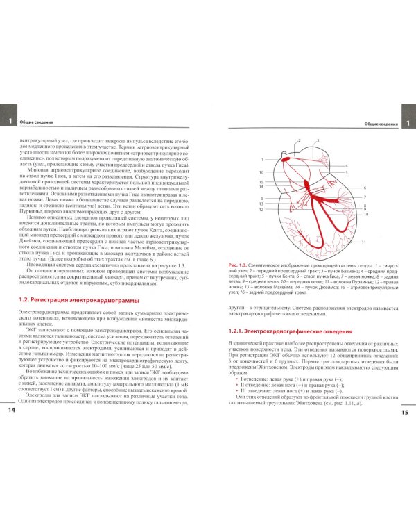 Руководство по практической электрокардиографии. 4-е изд