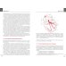 Руководство по практической электрокардиографии. 4-е изд