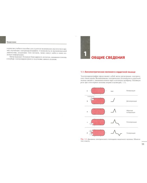 Руководство по практической электрокардиографии. 4-е изд