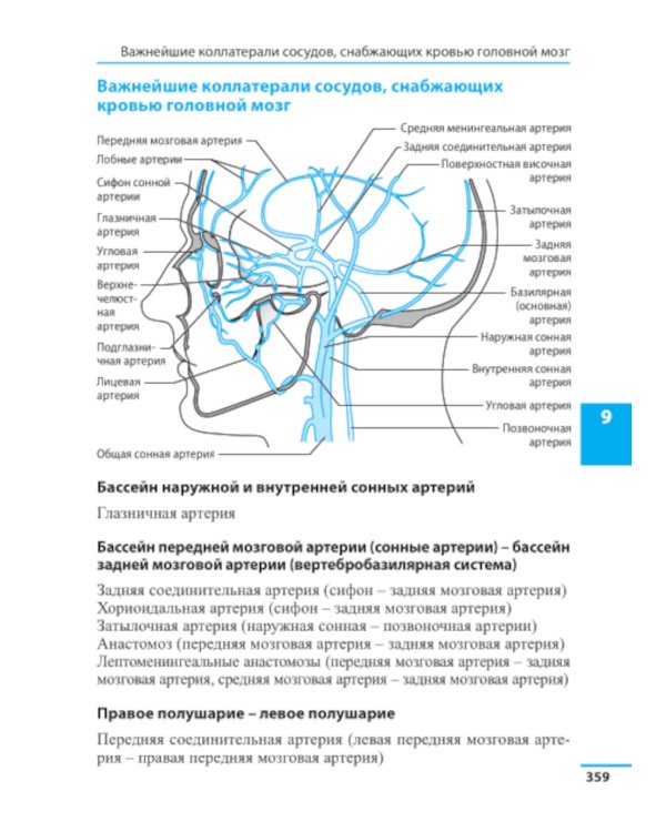 Неврология. Справочник. 5-е изд (пер.)