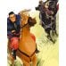 Дополнительное изображение книги «Портной Юлай и злой хан: башкирские сказки»