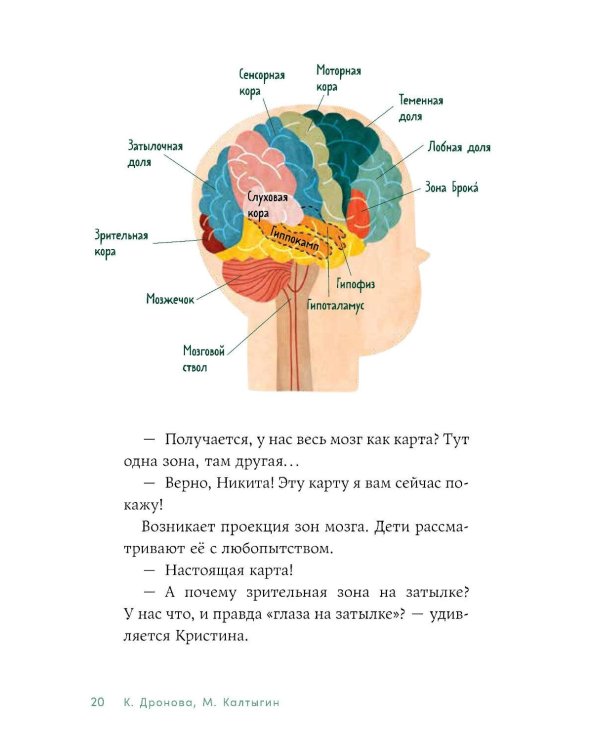 Дополнительное изображение книги «Тело человека. Что у меня внутри?»
