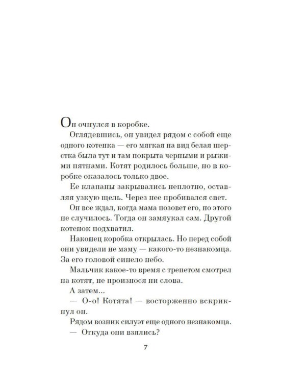 Дополнительное изображение книги «Прощание с котом: роман»