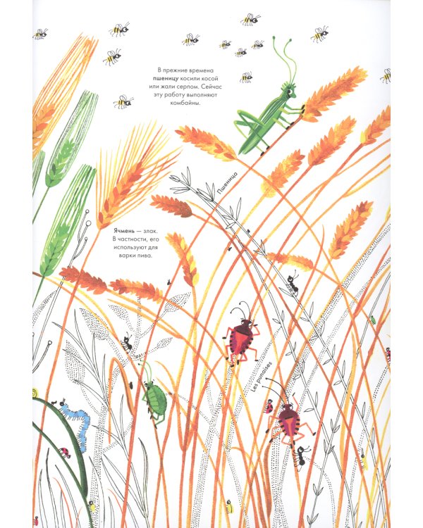 Тысяча и одна пчела
