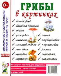 Грибы в картинках. Наглядное пособие для воспитателей, логопедов, педагогов, родителей. А4