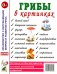 Грибы в картинках. Наглядное пособие для воспитателей, логопедов, педагогов, родителей. А4