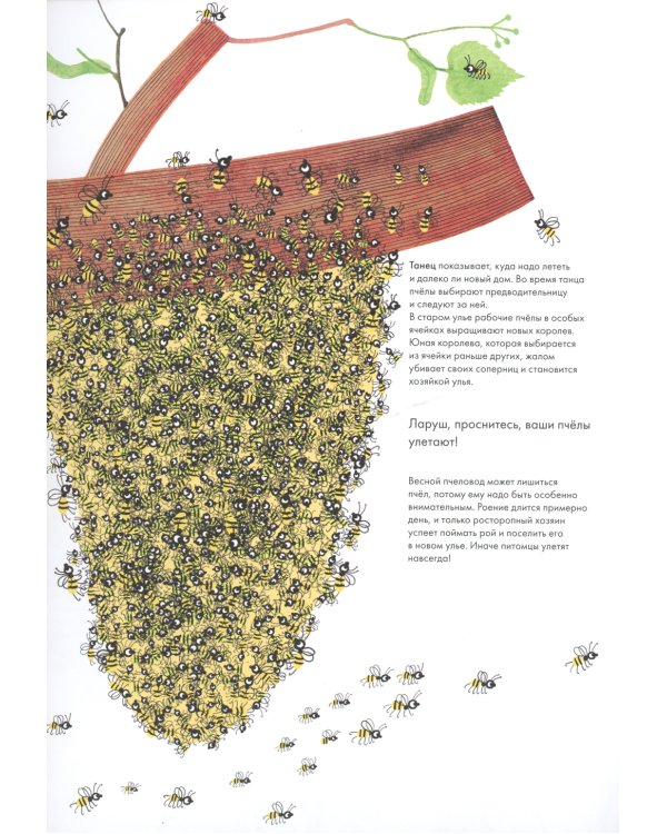 Тысяча и одна пчела