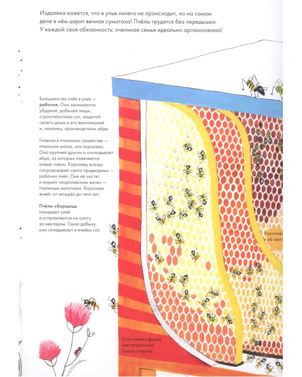 Тысяча и одна пчела