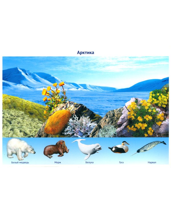 Рассказываем детям о природе России (комплект из 3 кн.)