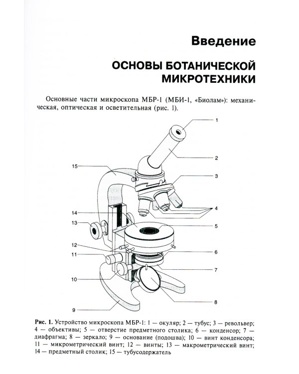 Ботаника. Руководство к практическим занятиям: Учебное пособие