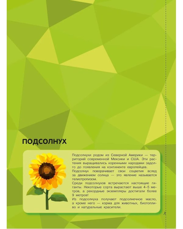 Дополнительное изображение книги «Магия цветов»