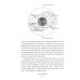 По Млечному Пути. Западная астрология Звезды с тобой. Современное руководство по астрологии