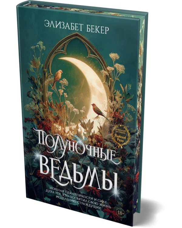 Дополнительное изображение книги «Полуночные ведьмы: роман»