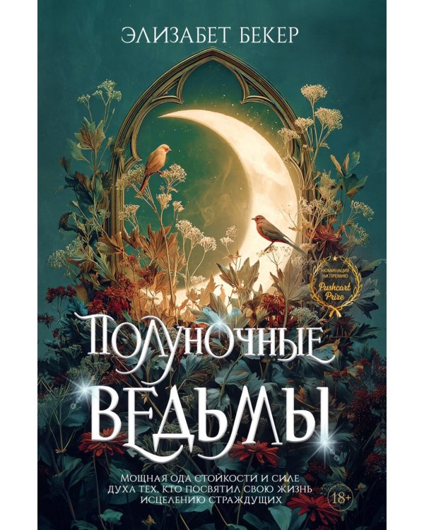 Дополнительное изображение книги «Полуночные ведьмы: роман»