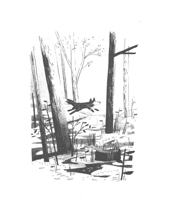 Пакс + Пакс. Дорога домой (комплект из 2-х книг)