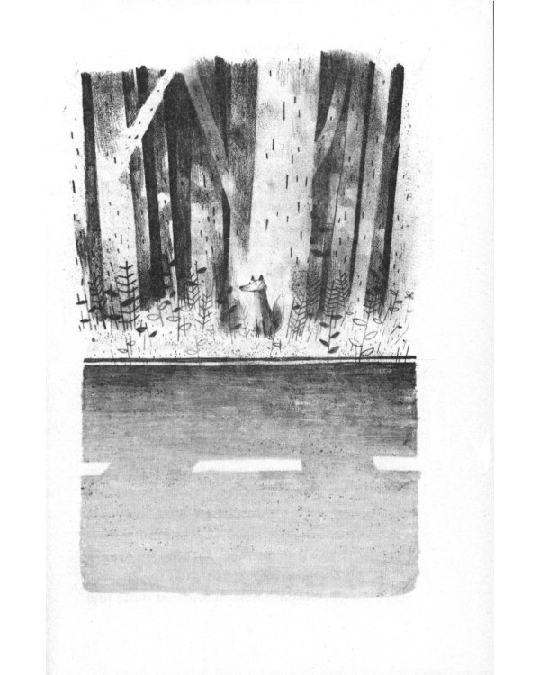 Пакс + Пакс. Дорога домой (комплект из 2-х книг)