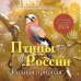 Птицы России. Родная природа. Календарь настенный на 2026 год