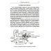ФУНДАМЕНТ БУДУЩЕГО: Юбилейная серия в честь 270-летия МГУ имени М.В. Ломоносова Введение в науку о языке: лингвистика XXI века: Т. 1: Теория языка. Язык и познание. 2-е изд., испр. и доп. (пер.)
