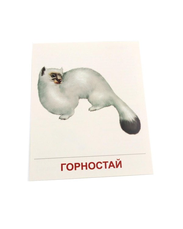 Дополнительное изображение книги «Дикие животные-1. 16 демонстрационных картинок с текстом»