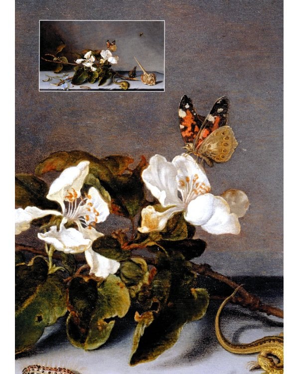 Золотой век голландской живописи. Рембрандт, Вермеер и другие знаменитые художники