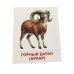 Дополнительное изображение книги «Дикие животные-1. 16 демонстрационных картинок с текстом»