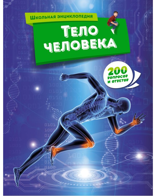 Тело человека