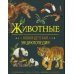 Животные