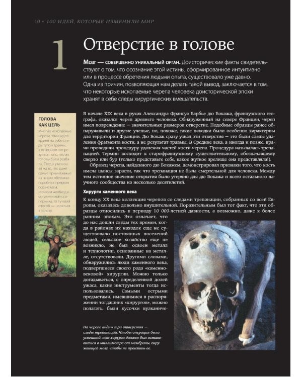 Мозг. История, теории и практики