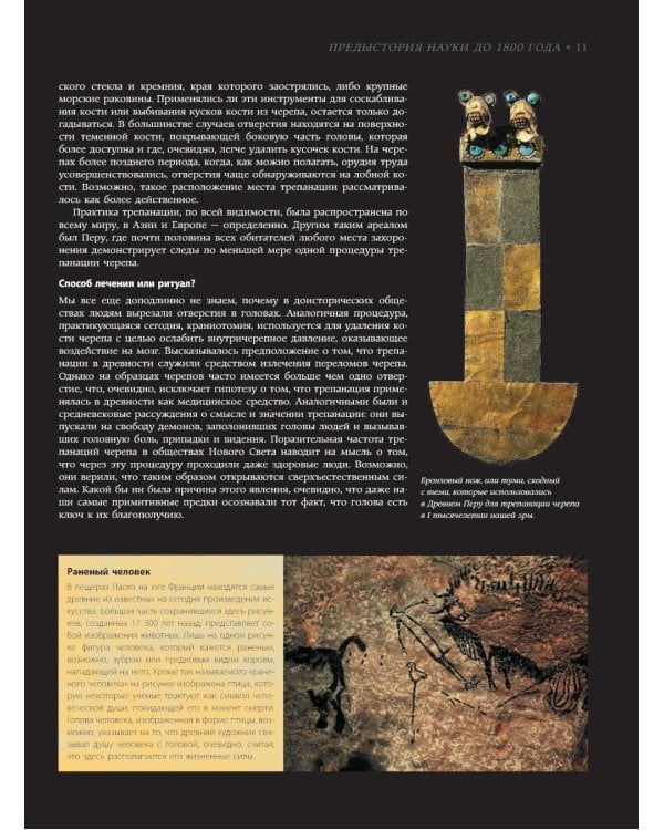 Мозг. История, теории и практики