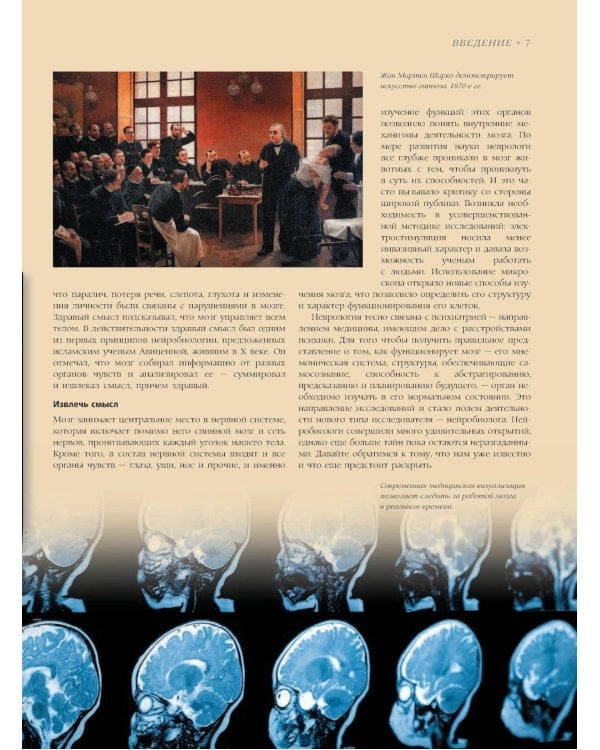 Мозг. История, теории и практики