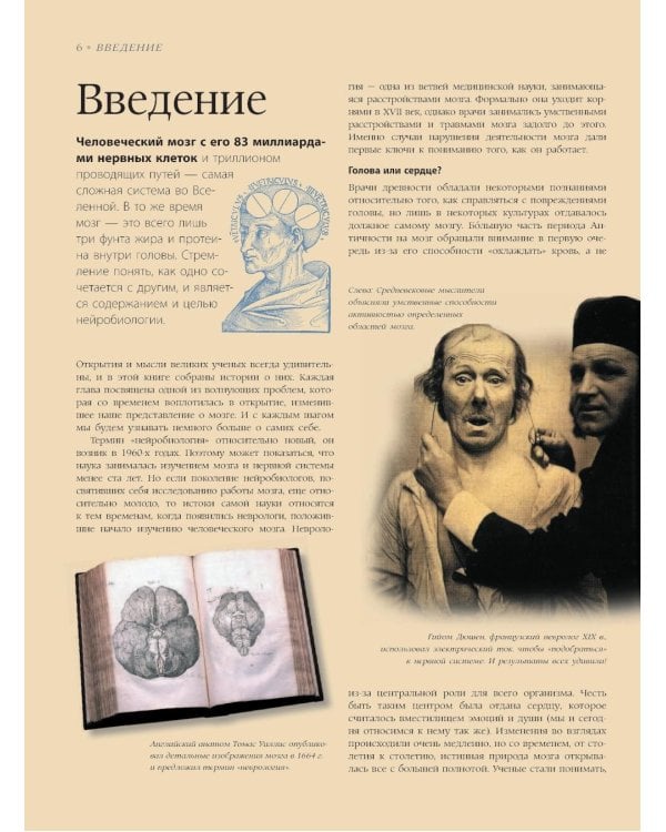 Мозг. История, теории и практики