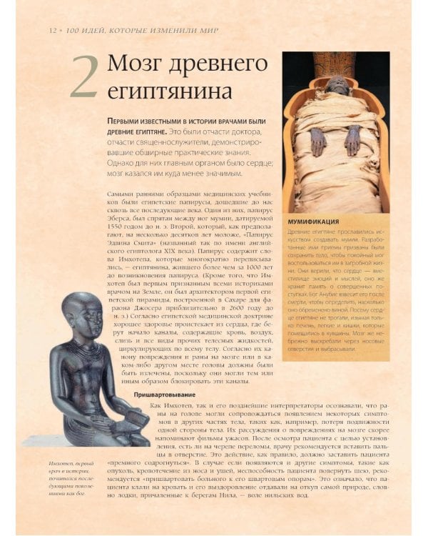 Мозг. История, теории и практики