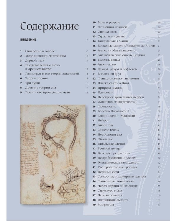 Мозг. История, теории и практики