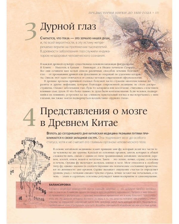 Мозг. История, теории и практики