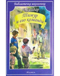 Тимур и его команда